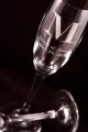 Champagne Flutes (Set of 2)