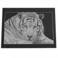 Rectangle Black Marble Tile (2 Styles)